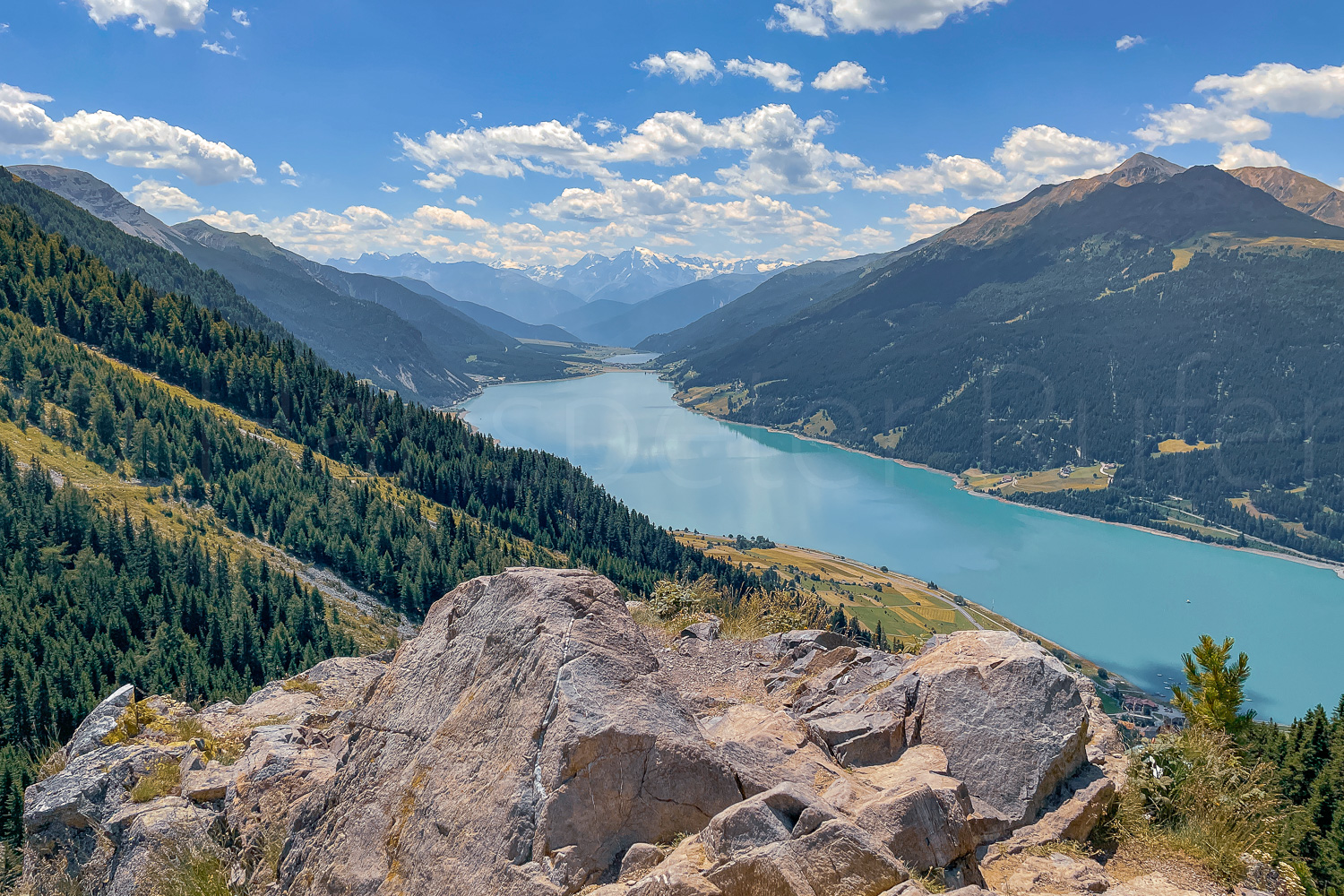 2022 07 03 I Graun Plamort