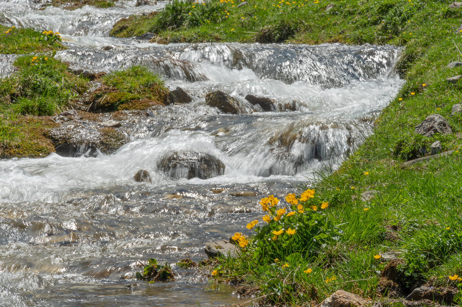 2022 05 27 Tschiertschen 08