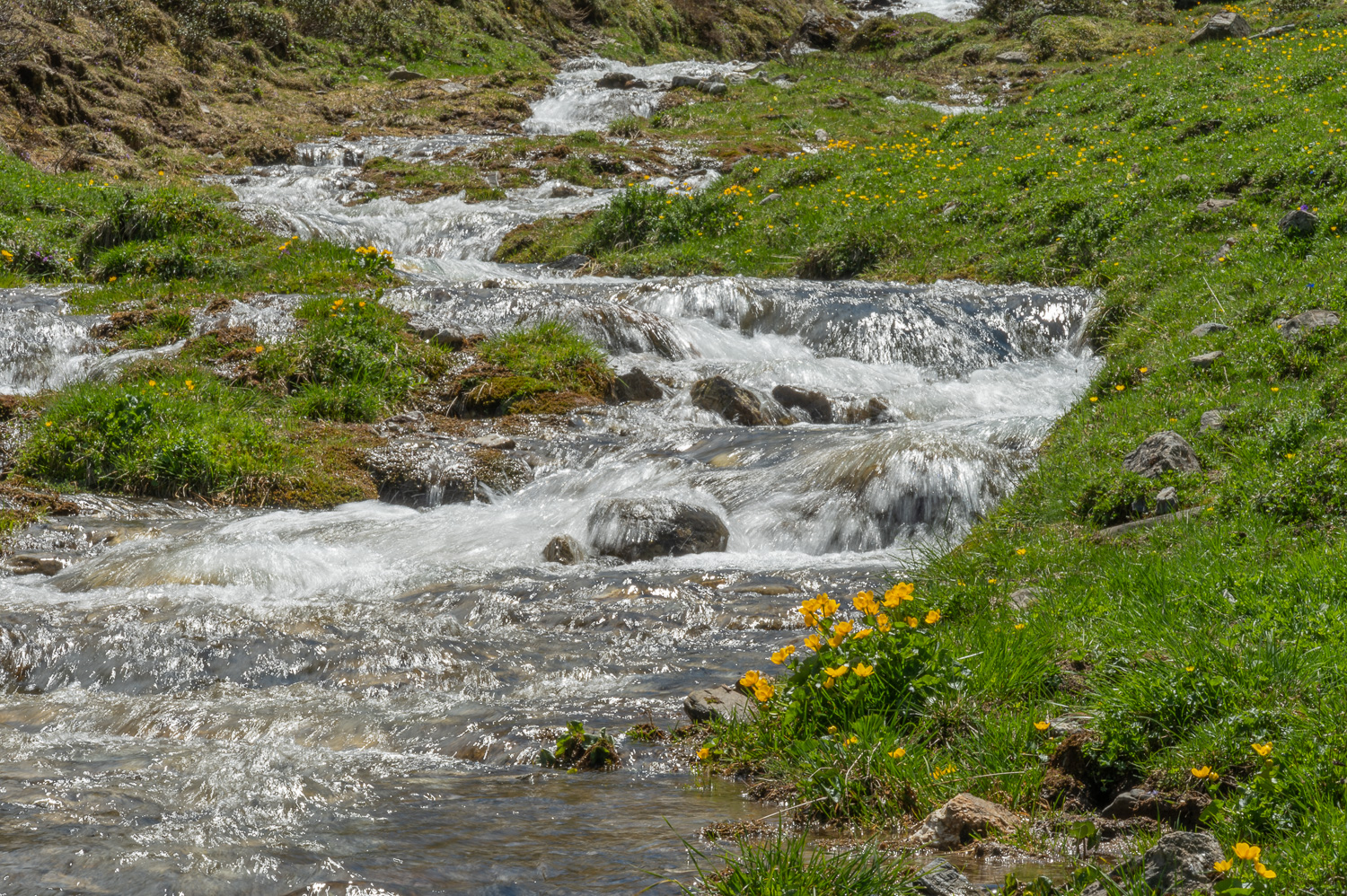 2022 05 27 Tschiertschen 10